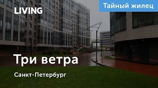 ЖК «Три ветра»: отзыв Тайного жильца. Застройщик «Группа ЛСР». Новостройки Санкт-Петербурга