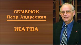 Жатва. Семерюк Петр Андреевич.