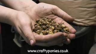 Crafty Ponies! PONY LESSONS - How to feed & water your pony