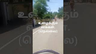 நெல்லை : உழைக்கும் கைகள் | Working Senior Citizen | Tirunelveli