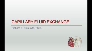 Principles of capillary fluid exchange