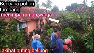 Bencana pohon tumbang kena rumah warga// akibat ada angin kencang disertai hujan