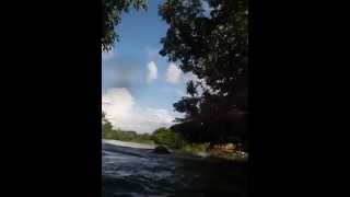 Nicaraguan tree dwelling breakdancers