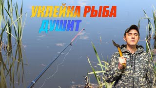 Рыба как килька рыбалка