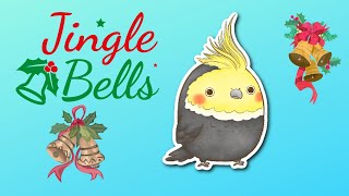 Jingle Bells with whistle Cockatiel Whistling - Christmas Songs Parrot Songs #whistle