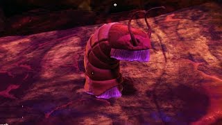 No Man's Sky gameplay Walkthrough Part 1 - [1080p/60fps] - Jumper Snail Worm?  :D