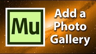 Adding a Photo Gallery In Adobe Muse Website Design Tutorial