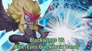 Edison Format Match Blackwing VS Blue-Eyes QuickDraw