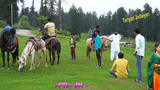 Pahari Geet 2022 💘Teriyan Judaiyan 💘 Old Pahari Mahiye Pahadi Songs Kashmir Village