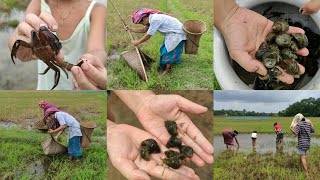 Catch snails🐌, crabs🦀|| village life in #northeast #tripura