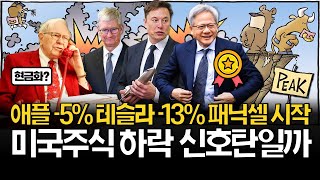 엔비디아 5% 급락, 미국주식 하락 신호탄일까?