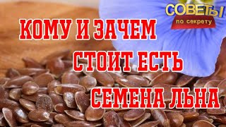 Кому и зачем стоит есть СЕМЕНА ЛЬНА