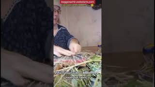 Processing   cattail leaf for fabric