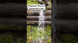 Родники России Гремячий ключ #родник #гремячийключ #sergievposad #sergievtrail #бегилесом #trail