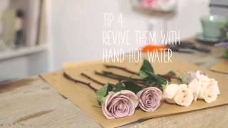 Simple Solutions: Make flowers last longer