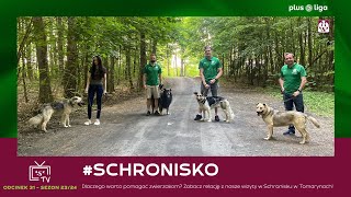 AZS TV: #Schronisko