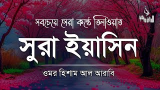 অন্তর শীতল করা সূরা ইয়াসিনের তেলাওয়াত ।Sura Yaseen (YASIN) By Omor Hisham Al Arabi | Beautiful Quran