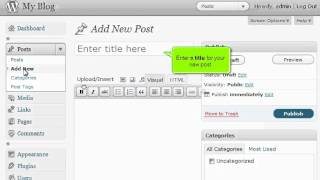 Writing posts in Wordpress