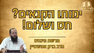 פרשת השבוע | פרשת פינחס: ימותו הקנאים? חס ושלום! | הרב ברק אפשטיין