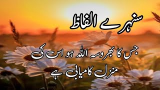 Heart Touching Words | Golden Words in Urdu | Urdu Quotes Collection | Shameer Quotes