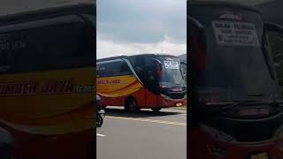 Sumber Jaya Trans Team Banjar Palembang