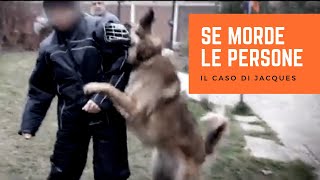 Cane Aggressivo con le Persone: Come Aiutarlo | Angelo Vaira