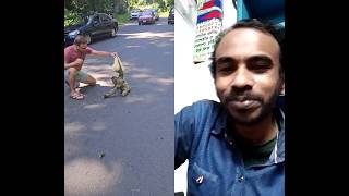 Man Rescues Stranded Sloth with Help from Another