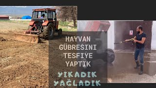 HAYVAN GÜBRESİ DERT OLDU | TRAKTÖRÜ YIKAYIP YAĞLADIK.