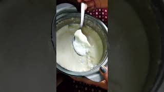 homemade dahi #ytshorts #yt #shortvideo #homemade #shorts #viral #youtubeshorts