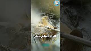 هل يمكن لماء الضغط العالي إزالة الوشم؟ 🔥 حقائق | غريب | مثير