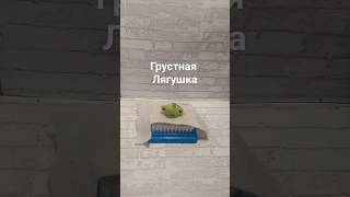 грустная лягушка тг: lerryty #валяние #валяниеизшерсти #процессработы #лягушонок #лягушка