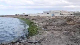 Plage de Sayada dévastée