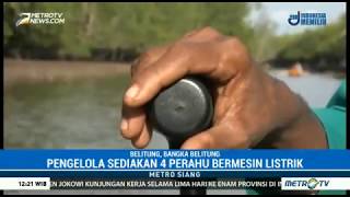 Susur Hutan Mangrove Menggunakan Perahu Listrik