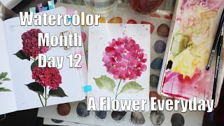 Day 12 World Watercolor Month - A Flower Everyday! Hydrangea