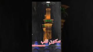 Aba abdillah #husain #roza #viral