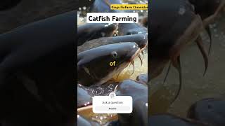 catfish farming #facts #aquaculture #aquarium #fishing  #seafood