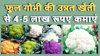 Cauliflower farming || फूलगोभ की उन्नत खेती से 4-5 लाख रूपए कमाएं || फूलगोभी की खेती