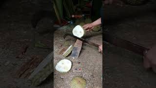 Kena prank  !!! kukira durian Montong ternyata durian kopong  #shortvideo #lucu #durian