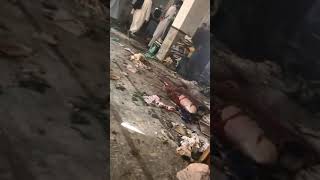 peshawar bomb blast today latest video