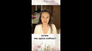 Зачем мы здесь сейчас?