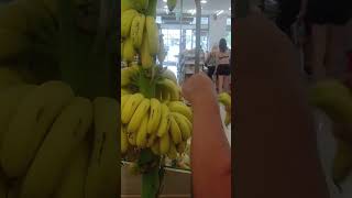 banana picking #greece #shortvideo #banana #греция #туризм #отдых