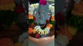 Ganapati Nimajjanam at home || #shortsviral #yt #visarjan  #vinayakanimajjanam#ganesha #nimajjanam