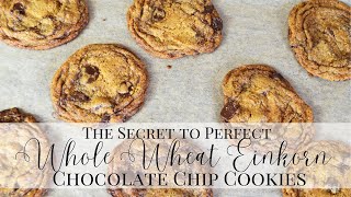 How to Make Einkorn Chocolate Chip Cookies | Whole Wheat Einkorn Recipes | Einkorn Recipes | Einkorn