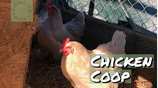 Greene Creek Farms   New Chicken Coop