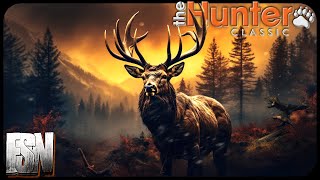 380” ELK ON TIMBERGOLD?! theHunter Classic