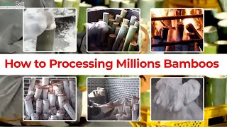 How to Processing Millions Bamboos to Product Straws, Bamboo Houses, Plywood, Chopstick Factory