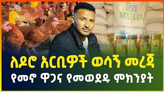 ለዶሮ አርቢዎች ወሳኝ መረጃ ! | የመኖ መወደድ ምክንያትና አሁናዊ ዋጋ ! | Chicken farming | feed price | small business idea