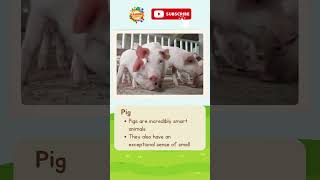 Fun Facts Farm Animals for Kids #shorts #animals #oceananimals #animalfacts #educationalvideos