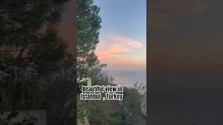 View in Istanbul, Turkey#trendingviralshortvideo #youtubeshorts #turkey #youtubeshorts