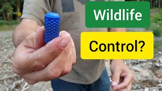 Wildlife Control Ammo (rubber bullets part 2)